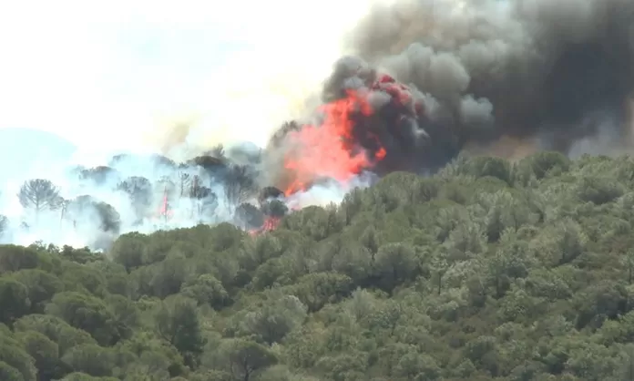 Francia: incendios forestales arrasan 4 mil hectáreas en el sur