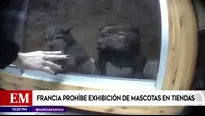 América Noticias