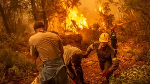 Grecia continúa su lucha contra incendios por séptimo día consecutivo. Foto: AFP