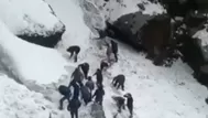 Avalancha dejó al menos siete muertos en Himalaya