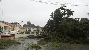 Huracán Irma en Florida. Foto: AFP