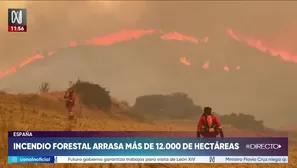 Foto y video: Canal N