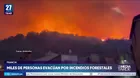 Incendios forestales en el sur de Francia provocan crisis