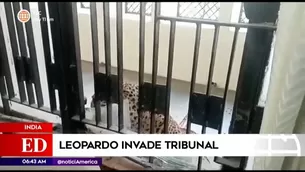 América Noticias