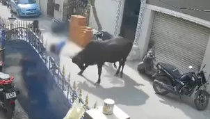 Una vaca atacó brutalmente a una niña cuando retornaba de su colegio. / Foto y Video: América Noticias