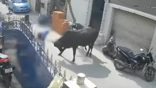 Una vaca atacó brutalmente a una niña cuando retornaba de su colegio. / Foto y Video: América Noticias