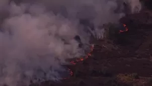 Un voraz incendio forestal en el sur de Inglaterra obligó a evacuar viviendas. Los bomberos combaten el fuego impulsado por fuertes vientos y la ola de calor. Video: Canal N