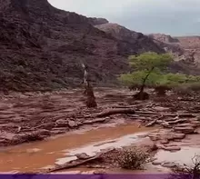 Foto y video: Canal N