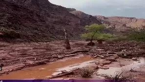 Foto y video: Canal N