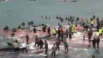 El rito es una tradici&oacute;n desde que sus antepasados realizaban una cacer&iacute;a de cet&aacute;ceos de esta forma para estar preparados para superar el duro invierno de Europa. (Foto: Captura)