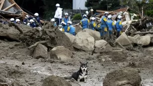 Foto: todonoticias