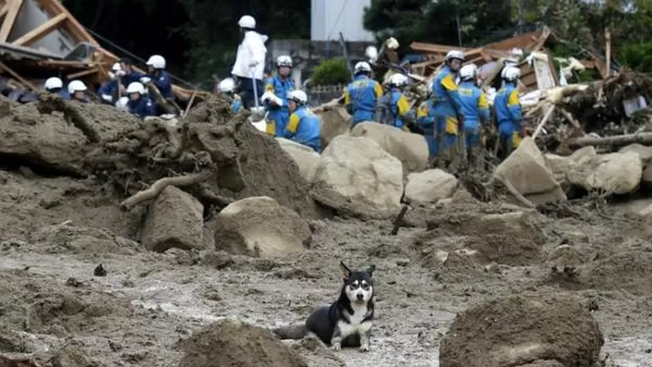 Foto: todonoticias