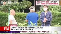 Ataque de monos en Japón. América Noticias