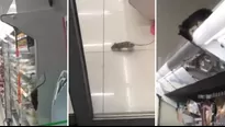 Japón: captan ratas en estantes de comida en local de cadena de tiendas. Foto: captura