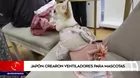 Japón: crearon ventiladores para mascotas