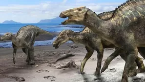 En Jap&oacute;n, investigadores identificaron una nueva especie de dinosaurio mediante la reconstrucci&oacute;n de un esqueleto casi entero de una longitud de ocho metros. Foto: AFP