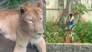 Joven de 19 años muere tras ataque de leona en zoológico / Captura / El Doce 