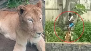 Joven de 19 años muere tras ataque de leona en zoológico / Captura / El Doce 