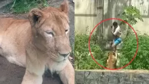 Joven de 19 años muere tras ataque de leona en zoológico / Captura / El Doce 