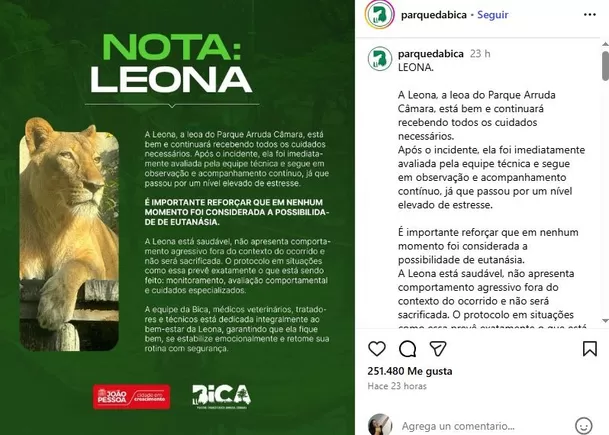 Actualización sobre la leona que atacó al joven de 19 años / Instagram Actualización sobre la leona que atacó al joven de 19 años / Instagram