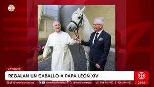 Le regalan un caballo al papa León XIV y será subastado. Foto y video: América Noticias