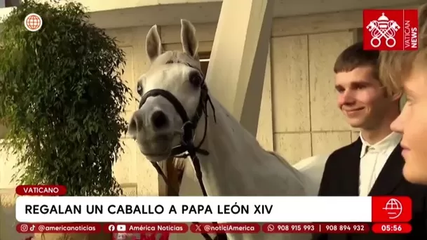 Le regalan un caballo al papa León XIV y será subastado. Foto: América Noticias