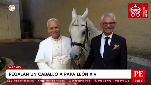 Le regalan un caballo al papa León XIV y será subastado. Foto: América Noticias