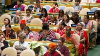 Ministro del Solar se reunió con expertos indígenas de la ONU. Foto: ONU / Video: Chirapaq