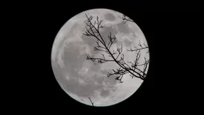 Luna de Nieve: Cuándo y dónde ver el fenómeno que ocurrirá el fin de semana. Foto: SoyCarmín