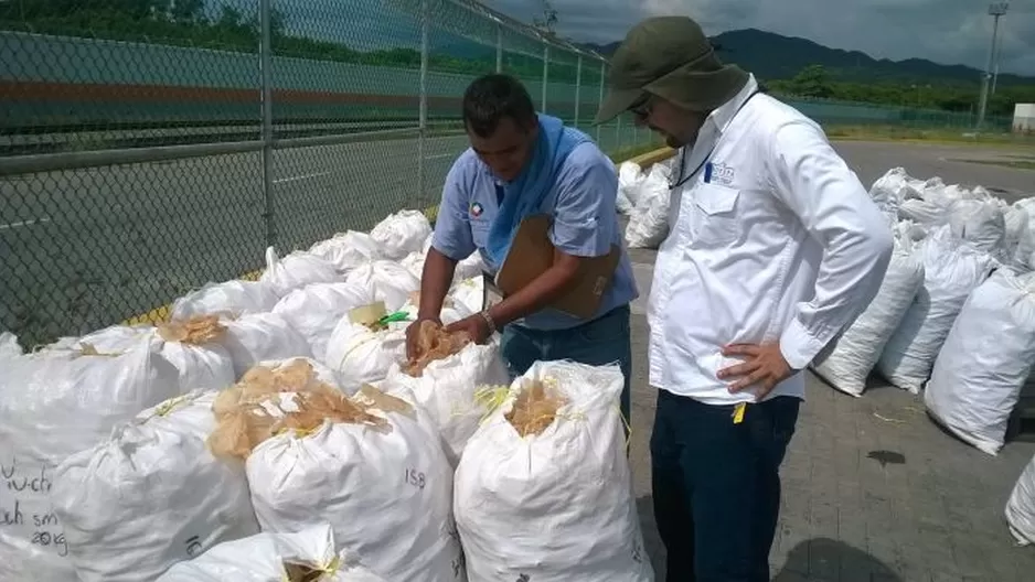  El decomiso tuvo lugar en la población costera de Manzanillo, en el oeste de México / Foto: EFE