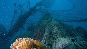 Un millón de toneladas de "redes fantasma" de pesca acaban cada año en océanos, según WWF. Foto: EFE