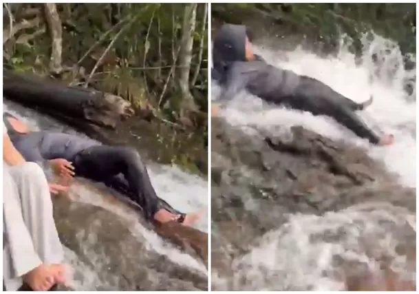 El cuerpo de la víctima fue rescatado un día después / Captura El cuerpo de la víctima fue rescatado un día después / Captura