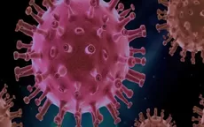 OMS: Hay una fuerte probabilidad de que emerjan nuevas variantes más peligrosas del coronavirus - Noticias de oms