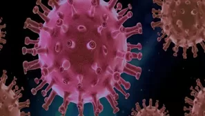 OMS: Hay una fuerte probabilidad de que emerjan nuevas variantes más peligrosas del coronavirus. Foto referencial: AFP