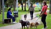 OPS: Eliminación de restricciones puede acelerar propagación del coronavirus. Foto: AFP