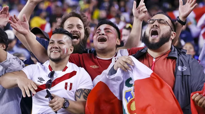La clasificación a Rusia 2018 desató una ola de felicidad en los peruanos. Foto: Andina La clasificación a Rusia 2018 desató una ola de felicidad en los peruanos. Foto: Andina
