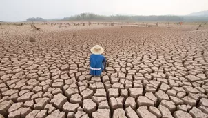 Climate Central analizó las temperaturas medias diarias y las olas de calor / Foto: AFP