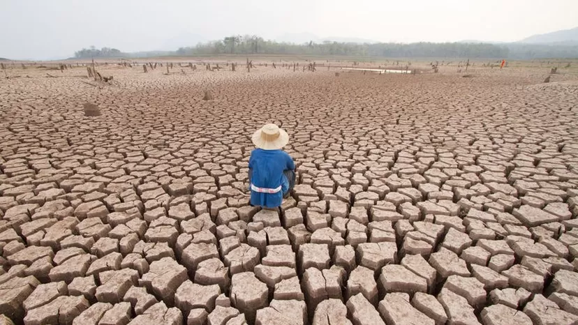 Planeta Tierra: Últimos 12 meses fueron los más calurosos en 125 000 años