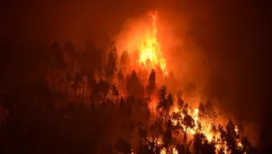 Incendio forestal en Portugal. Foto: AFP