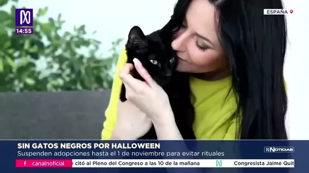 La ciudad española Terressa suspendió adopciones de gatos negros hasta el 1 de noviembre / Canal N La ciudad española Terressa suspendió adopciones de gatos negros hasta el 1 de noviembre / Canal N