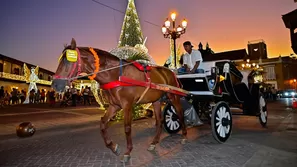 Foto por MANUEL PEDRAZA / AFP - Video: Canal N