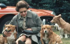 ¿Quién se hará cargo de las mascotas de la Reina Isabel II? - Noticias de agua