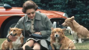 La reina junto a sus amados corgis. (Foto: Getty Images)