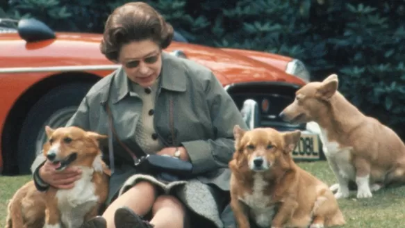 La reina junto a sus amados corgis. (Foto: Getty Images)