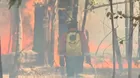 Reportan más 102 mil incendios forestales en Sudamérica