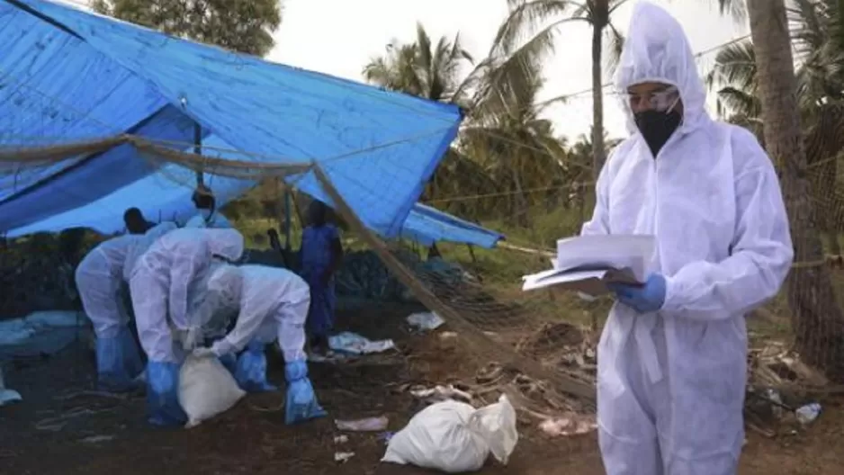 Rusia detectó primer caso de transmisión de cepa H5N8 de gripe aviar al ser humano. Foto: AFP referencial Rusia detectó primer caso de transmisión de cepa H5N8 de gripe aviar al ser humano. Foto: AFP referencial