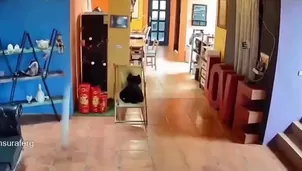 Un sismo de magnitud 5,8 se registró frente a las costas de Taitung en Taiwán. Las autoridades descartan heridos o daños y mantienen alerta por réplicas. Video: Canal N