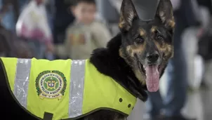 (Foto: AFP/Video: AFP)