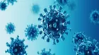 Sudáfrica: Detectan una nueva variante del coronavirus