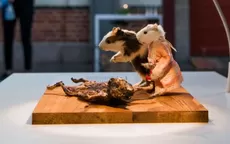 Suecia: el cuy y el queso de gusanos se exhiben en museo de comida asquerosa - Noticias de suecia